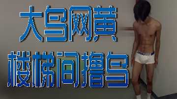 日本一区二区中文字幕免费看,免费观看一区二区三区,亚洲精品综合一区二区三